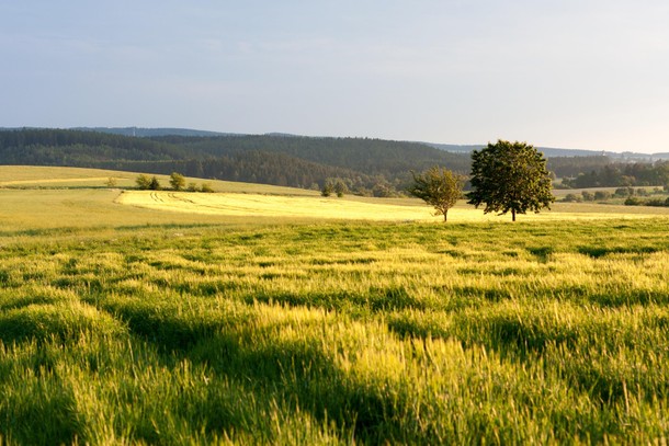 2. Południowe Morawy (Czechy)