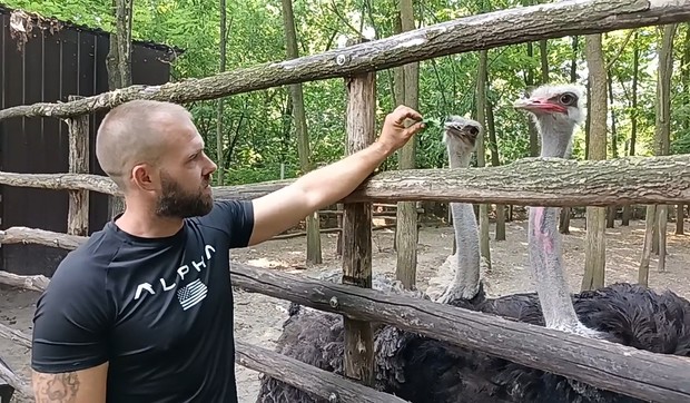 "Jako vole puno zelenog, a dodatak ishrani mogu biti jabuke, zelena salata ili kupus."