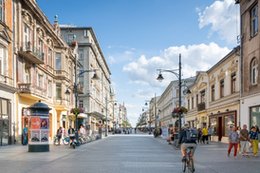 Idzie nowe. Tam połowa posłów wybranych do Sejmu to debiutanci