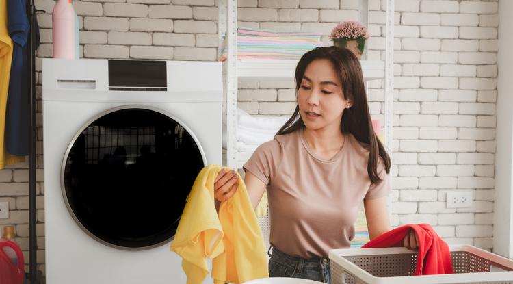 Egy összetevő a mosáshoz, és szőrmentesek lesznek a ruhák Fotó: Getty Images