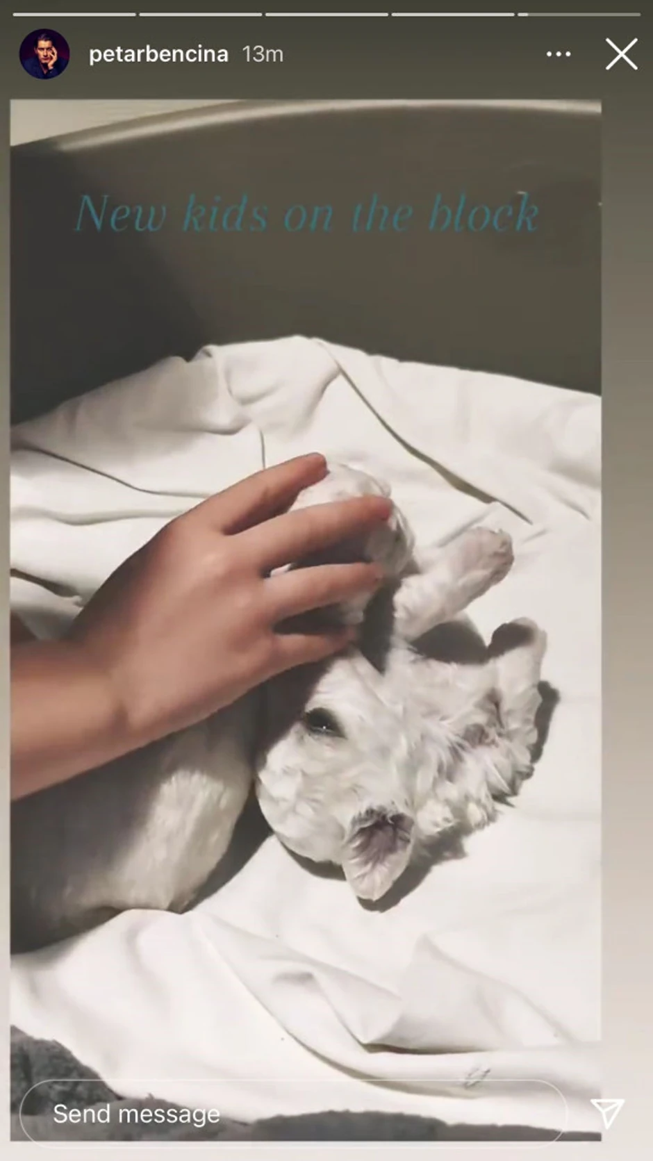 Petar Benčina i Tamara Dragičević kupili kučiće