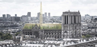 Chcą udziwnić Notre Dame