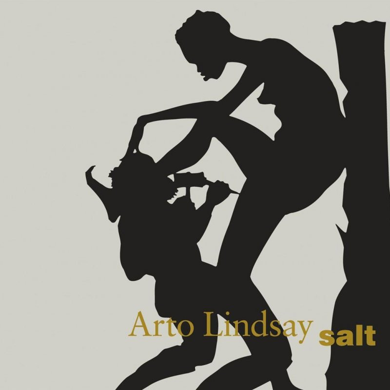 Kara Walker dla Arto Lindsay'a. Album "Salt"