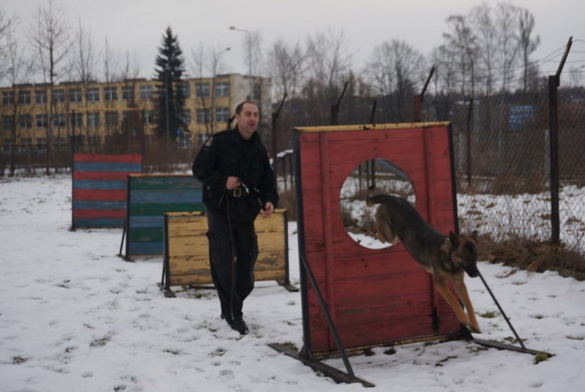 Aza, nowy pies częstochowskiej policji