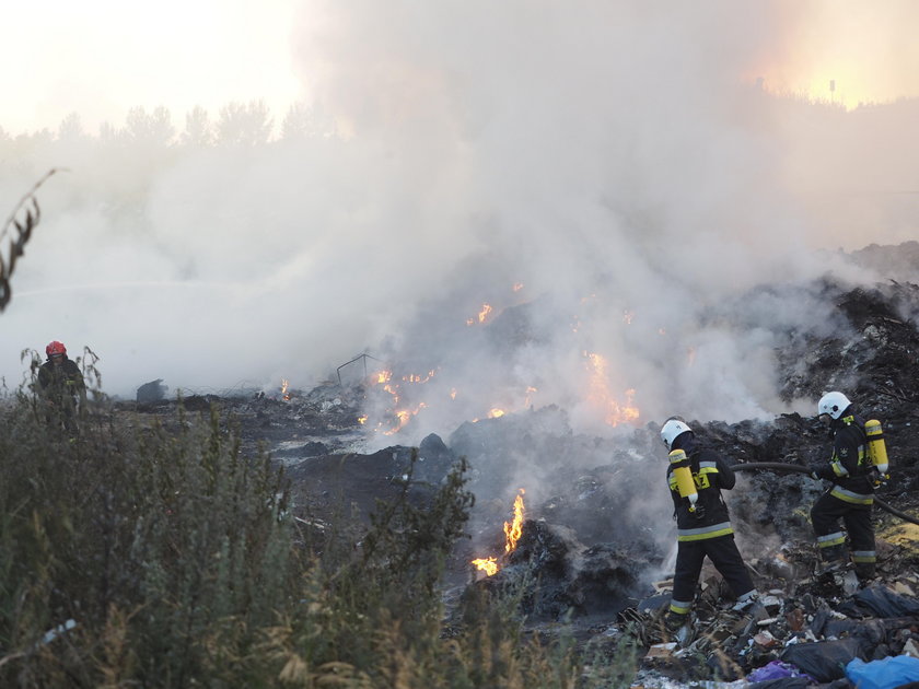 Potężny pożar wysypiska w Łódzkiem. Na miejscu kilkudziesięciu strażaków