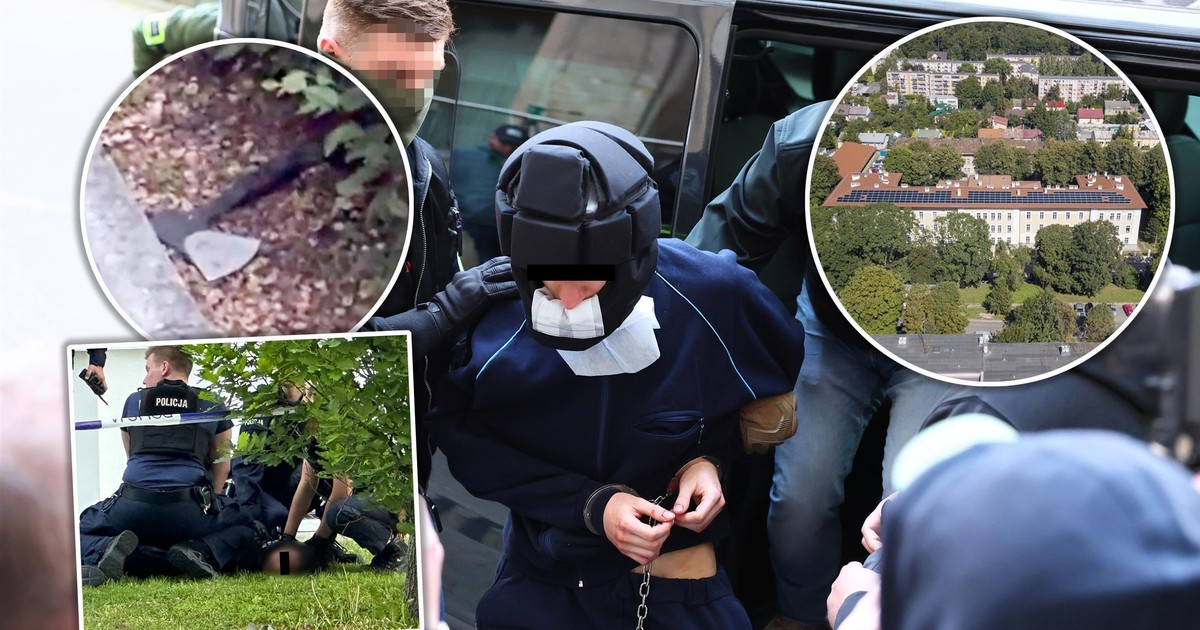 Brutalne zabójstwo na Uniwersytecie Warszawskim. Śledczy mają ważną opinię w rękach