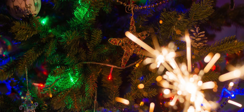 Niemieccy ekolodzy chcą rezygnacji ze świątecznego oświetlenia. Także w domach