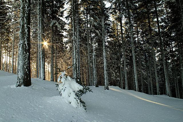 Galeria Polska - Beskid Śląski, obrazek 13