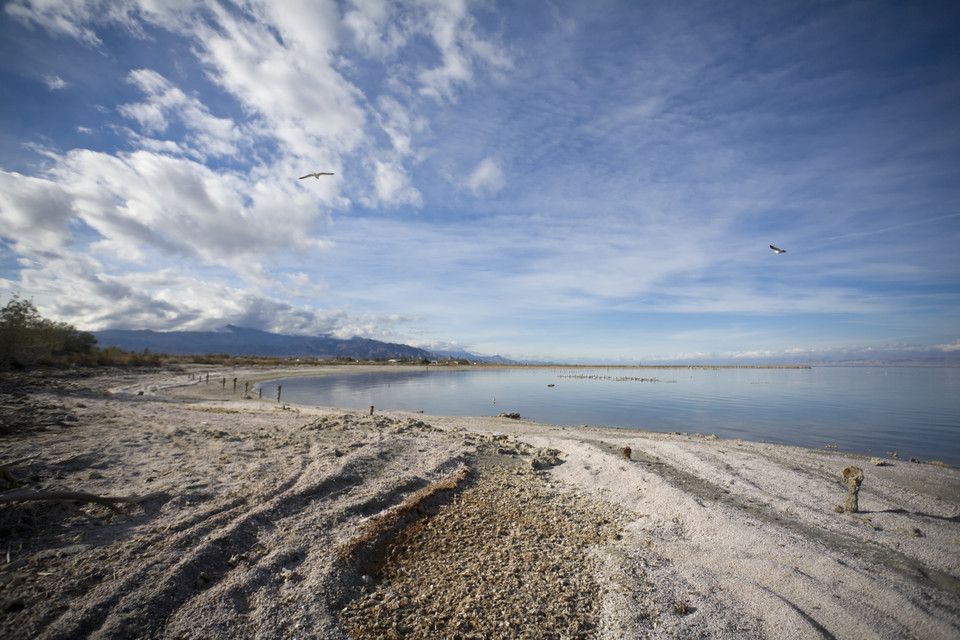 Salton Sea - przerażająca plaża w sercu Kalifornii