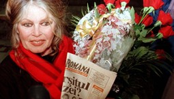 Brigitte Bardot nie żyje. "Oddałam mężczyznom urodę i młodość. Oddam mądrość zwierzętom"