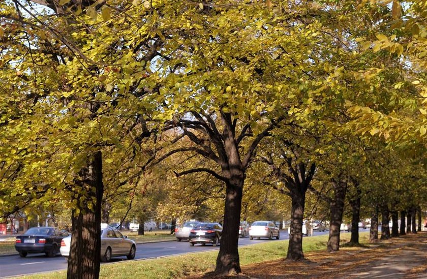 Jakie będzie lato w tym roku? Prognoza pogody wg górala