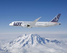 Ratowanie LOT-u nie ma sensu