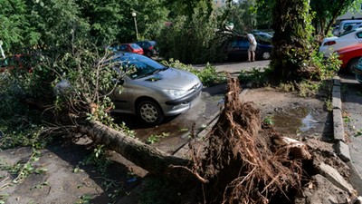 POZNAŃ SKUTKI NAWAŁNICY