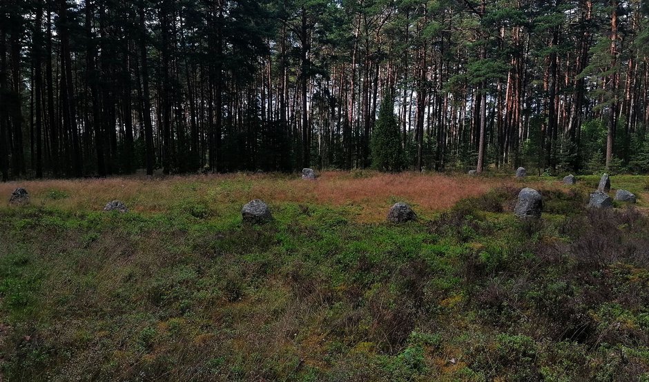 Kręgi w Odrach (Bory Tucholskie)