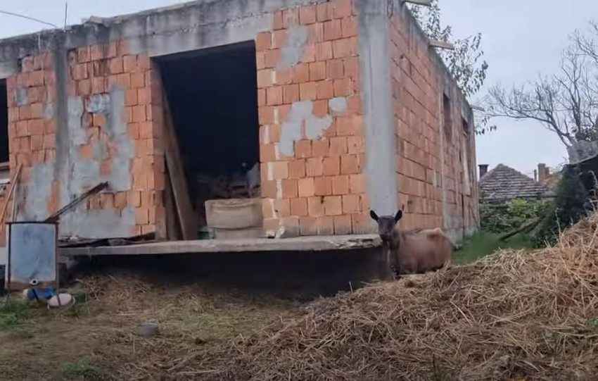 Porodica Jovanović iz Ritopeka živi u potpuno nehumanim uslovima