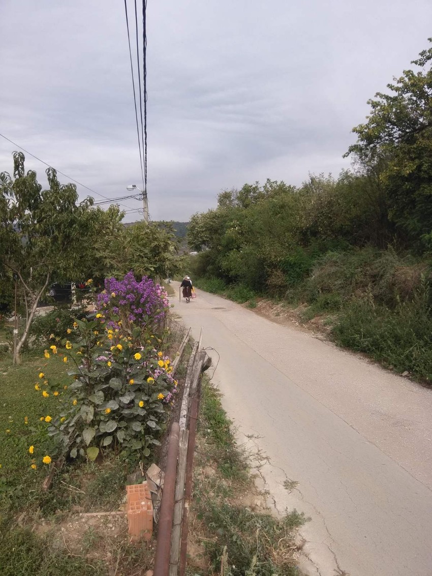 Ljubinka sa svojim nevenčanih suprugom skupljala je trave 