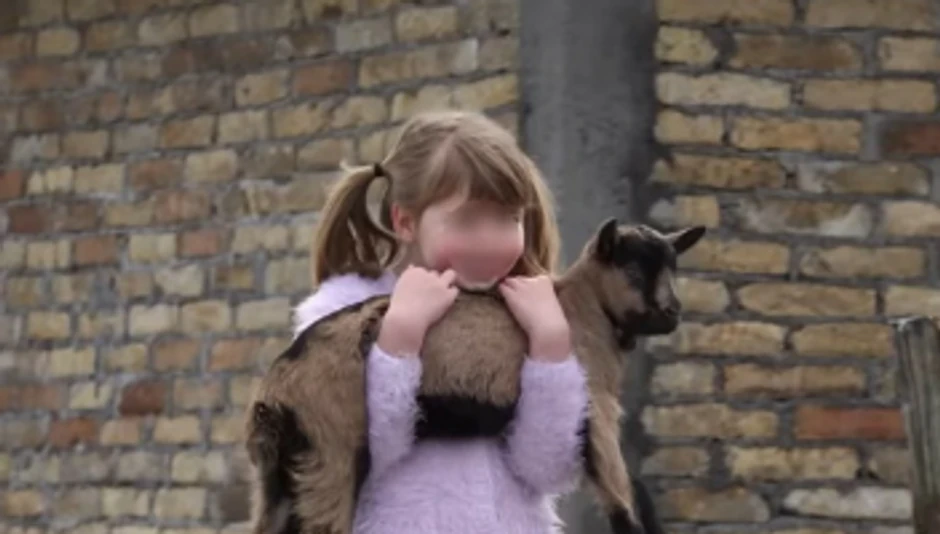 Branko Janković imanje