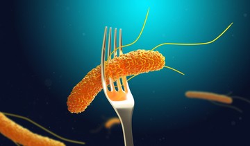 A Salmonella-bak tériumok érzékenyek a hőre, 70 C-fok felett elpusztulnak (ezért is olyan fontos alaposan átsütni, átfőzni az ételeket).