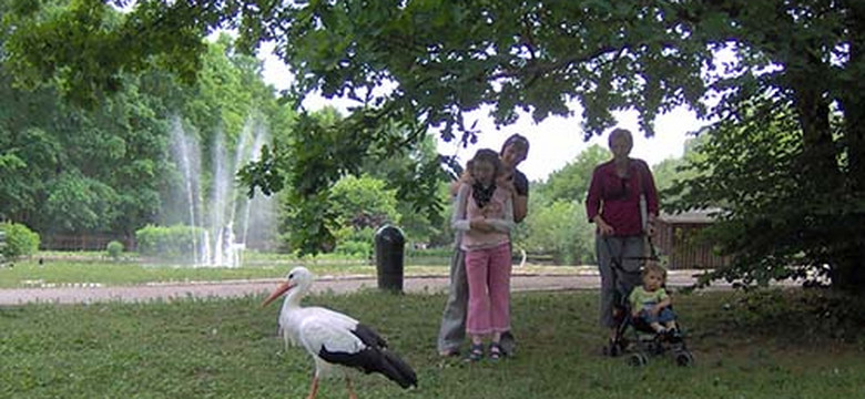 Bydgoszcz: Akwarium-Terrarium w Ogrodzie Fauny