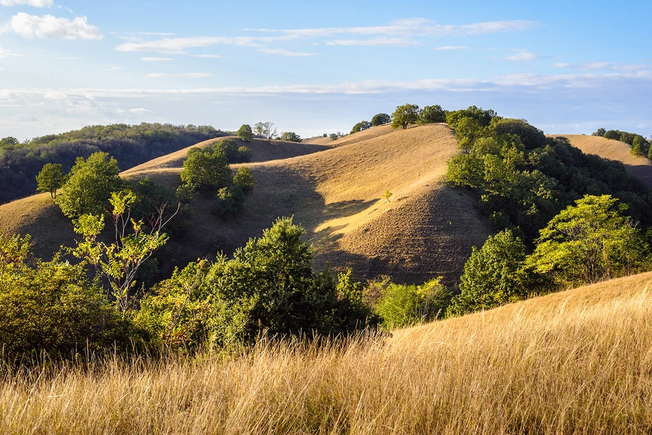Deliblatska peščara