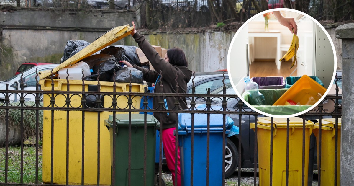 Większość Polaków o tym nie wie. Nie tylko seniorzy są zwolnieni z opłat za śmieci