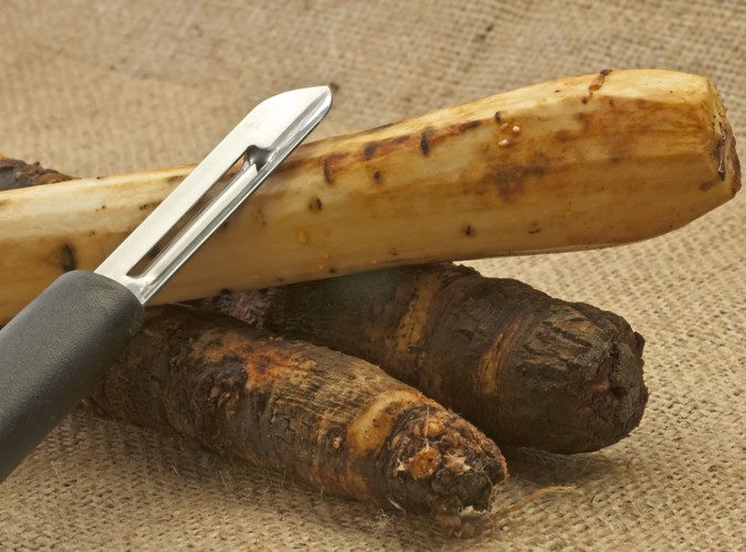 Skorzonera (salsefia)