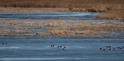 Wydano kolejne ostrzeżenia hydrologiczne. Gdzie będzie niebezpiecznie?