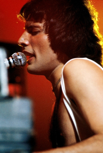 Freddie Mercury (fot. Getty Images)