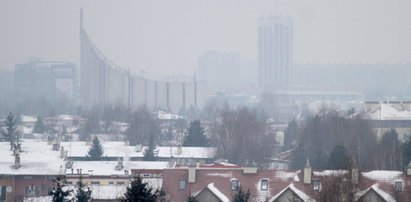 Rzeszów : pogoda 2019-01-08 - sprawdź, czy przyda ci się dziś parasol