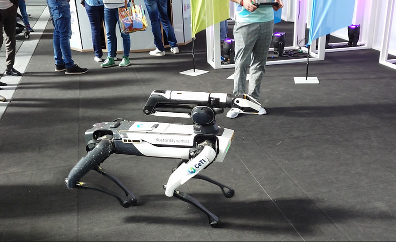 Pies-robot firmy Boston Dynamics