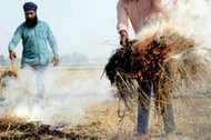 INDIA-POLLUTION-AGRICULTURE-ECONOMY-HEALTH-ENVIRONMENT