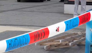 Pala skela u Novom Sadu