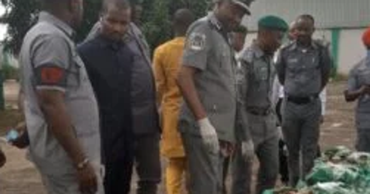 Customs intercepts dried shark fins, donkey genitals worth ₦‎1.22bn in Lagos - Vimarsana News