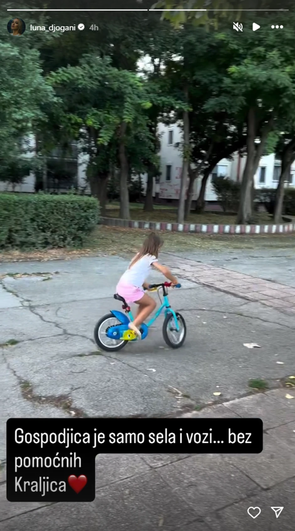 Luna Đogani, objava