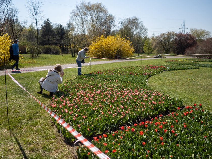 Otworzyli Ogród Botaniczny na jeden dzień