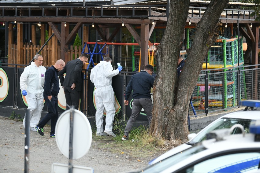 Pucnjava u Višnjičkoj banji