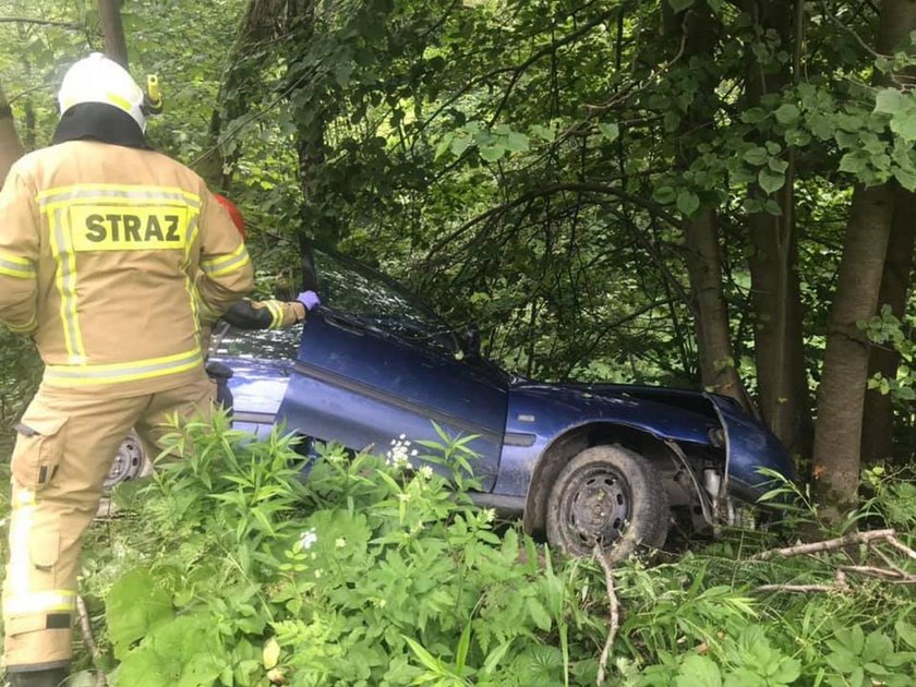 Wieźli osobówką kradzione cielę. Spowodowali wypadek i uciekli