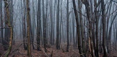 Odwiedziła protestujących przeciwko wycince Puszczy Bukowej. Grozi jej 1000 zł kary