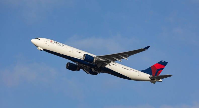 A Delta Air Lines Airbus A330.Nicolas Economou/NurPhoto via Getty Images