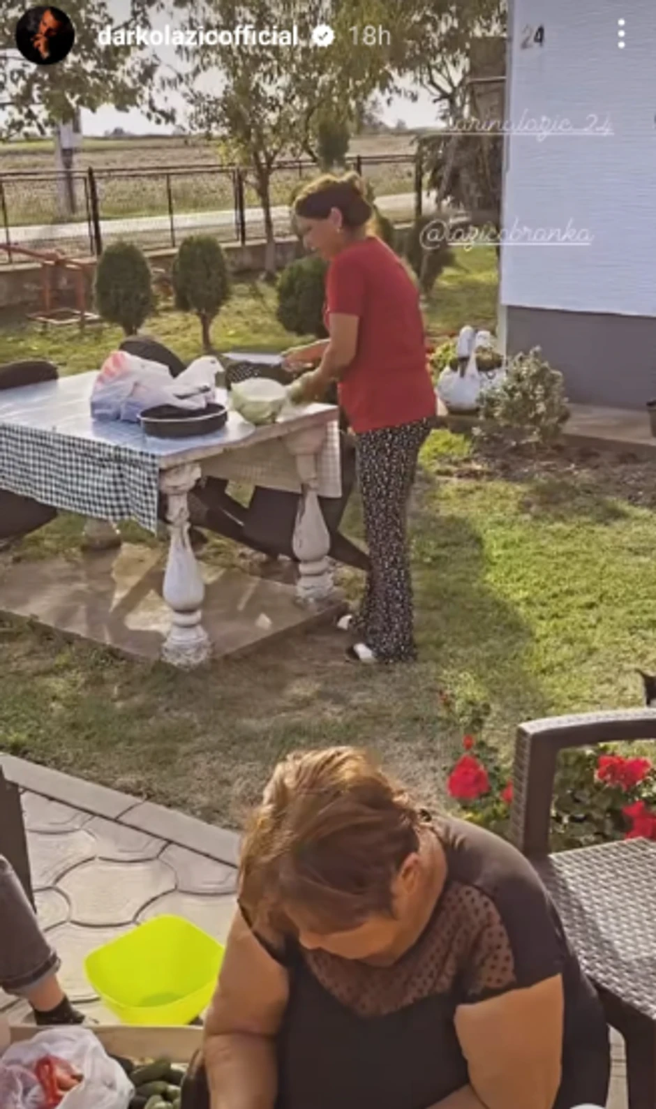 Kaća pravi turšiju u Brestaču