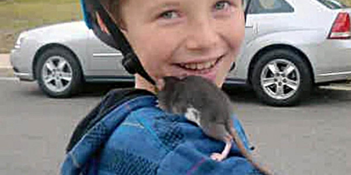 10-latek zmarł po ugryzieniu przez szczura
