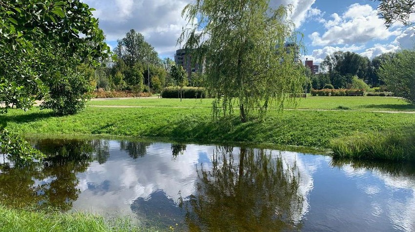 Jedan od parkova u Rigi | Foto: BBC/Dejana Vukadinović