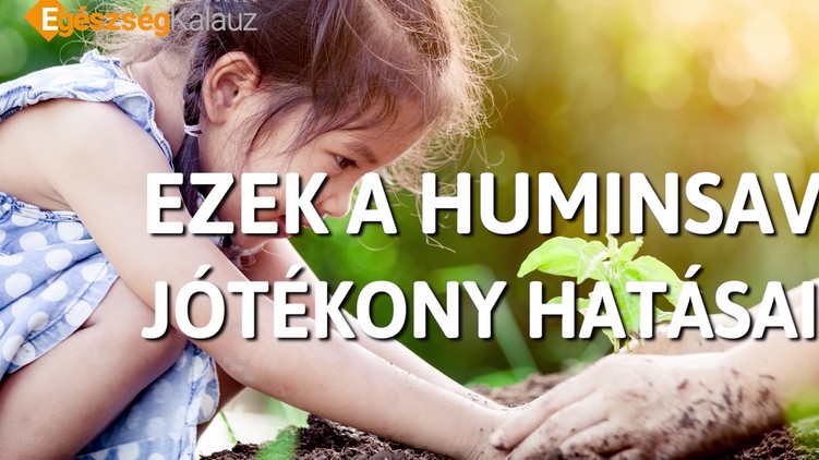 huminsav_3