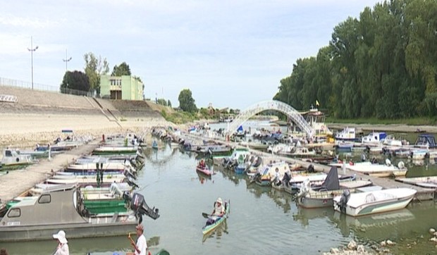 Dunavska regata