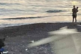 NEZAPAMĆENA DRAMA na plaži u Bugarskoj! U sumrak se pojavili ONI i samo su se čuli KRICI I JAUCI - ovo ne biste poželeli ni najvećem dušmaninu