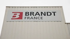 Brandt