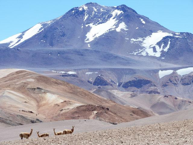 Galeria Argentyna, Chile - Puna de Atacama, obrazek 19