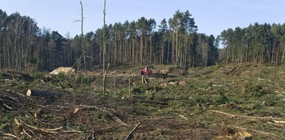 Bruksela interweniuje ws. Mierzei Wiślanej. Chce pilnego spotkania