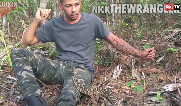 AP_Covek_i_zvecarka_vesti_blic_safe