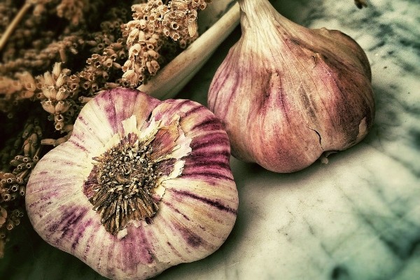 Garlic has antibacterial, antiviral and antifungal properties [Pulse Nigeria]